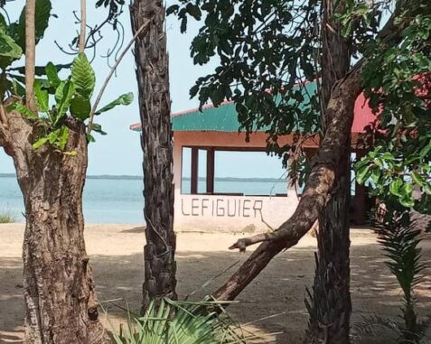 image de la propriété