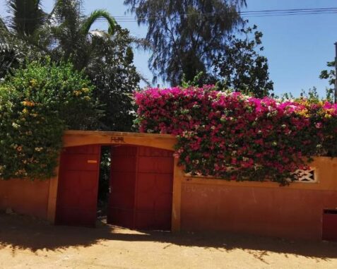 Cases conviviables et chaleureuses