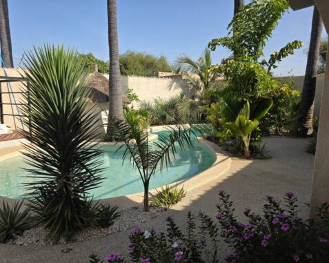 TINY VILLA SINE SALOUM